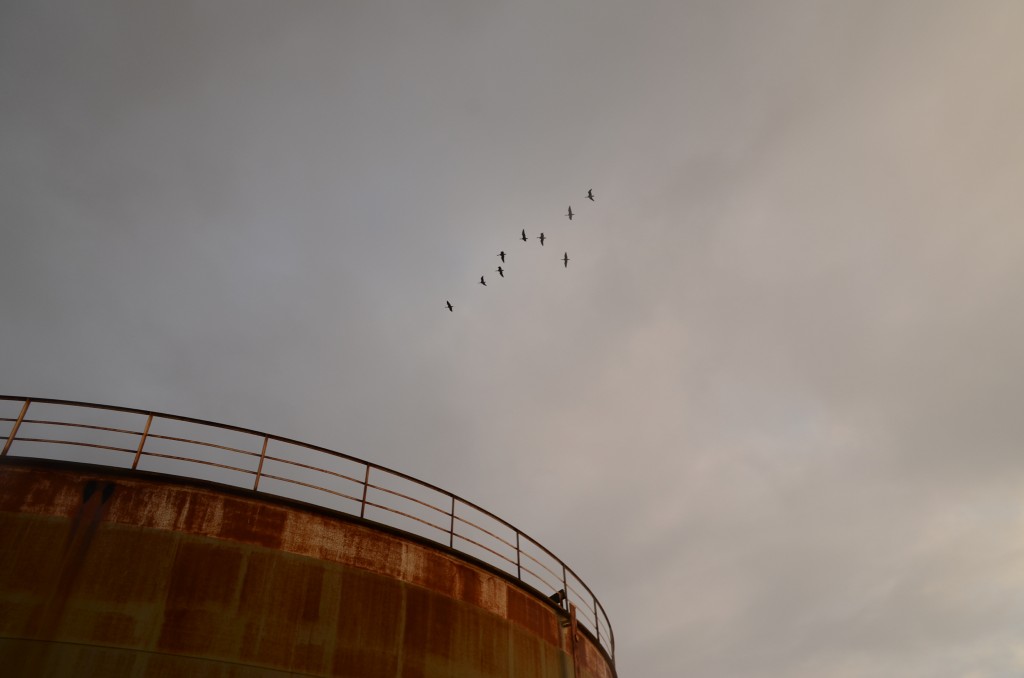 DSC_3200