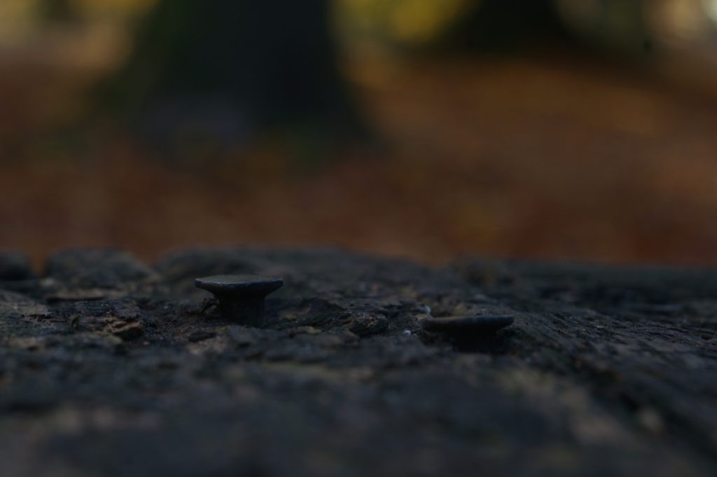garde2016_00886